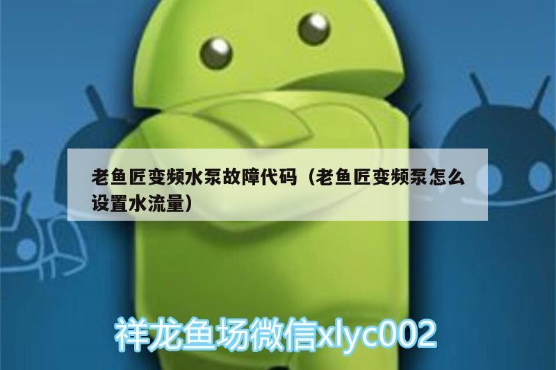 老魚匠變頻水泵故障代碼（老魚匠變頻泵怎么設(shè)置水流量） 老魚匠變頻水泵故障代碼（老魚匠變頻泵怎么設(shè)置水流量） 老魚匠