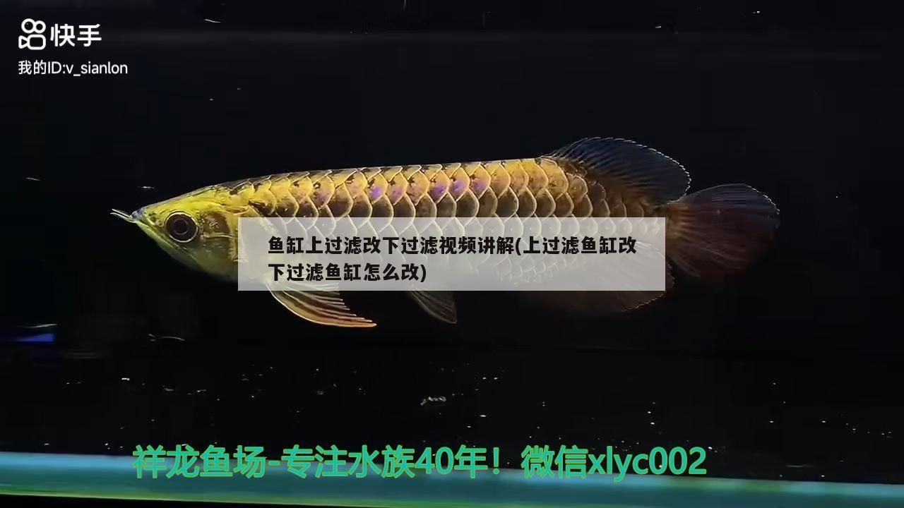 魚缸上過濾改下過濾視頻講解(上過濾魚缸改下過濾魚缸怎么改)