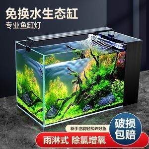 金龍魚與紅龍魚，兩大龍魚品種的全面對比