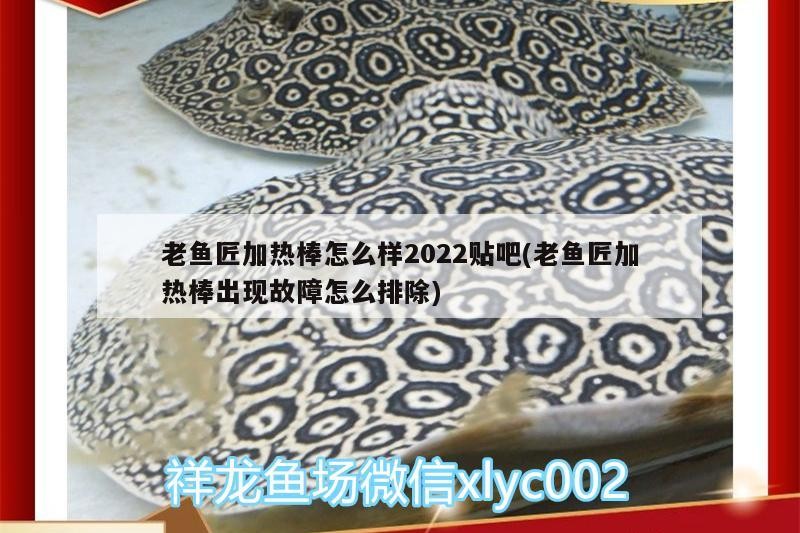 老魚匠加熱棒怎么樣2022貼吧(老魚匠加熱棒出現(xiàn)故障怎么排除)