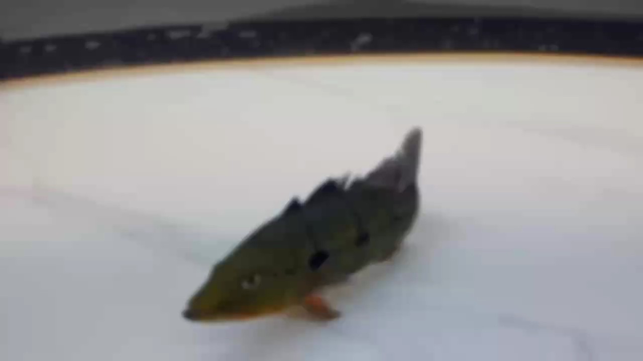 就這……