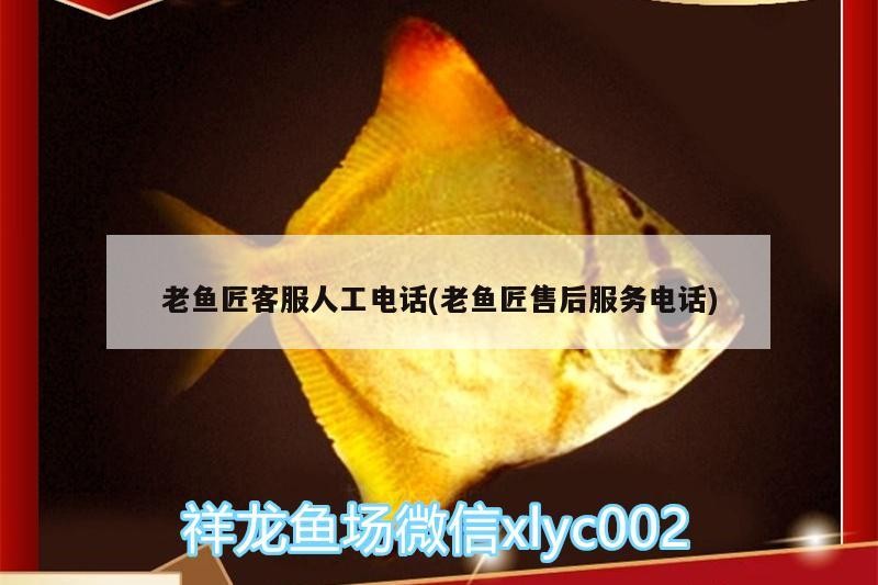 老魚匠客服人工電話(老魚匠售后服務電話) 老魚匠客服人工電話(老魚匠售后服務電話) 老魚匠