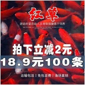 紅龍魚飼料用戶評價匯總：紅龍魚飼料用戶評價匯總摘要：紅龍魚飼料增色效果對比 紅龍魚飼料用戶評價匯總：紅龍魚飼料用戶評價匯總摘要：紅龍魚飼料增色效果對比 紅龍魚百科 第3張