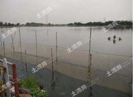 金龍魚擺放財位正確圖：金龍魚擺放財位正確圖片