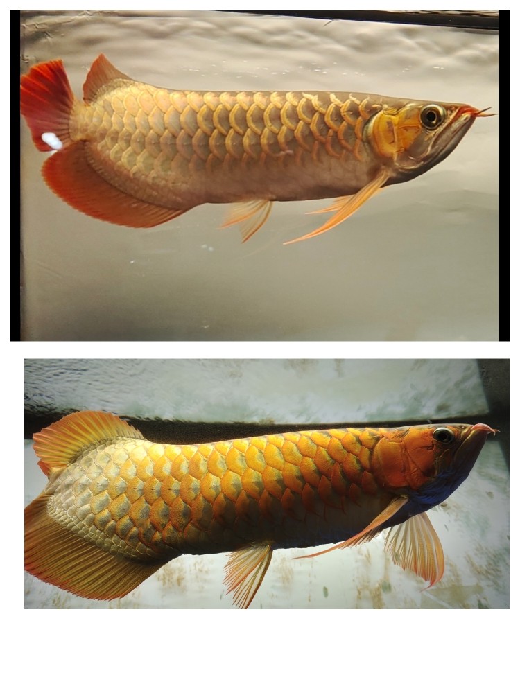 時間過得真快轉(zhuǎn)眼快四歲了