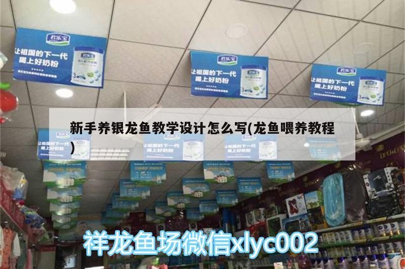 飼料 新手養銀龍魚教學設計怎么寫(龍魚喂養教程) 銀龍魚百科 新手養銀龍魚教學設計怎么寫(龍魚喂養教程) 新手養銀龍魚教學設計怎么寫(龍魚喂養教程) 銀龍魚百科