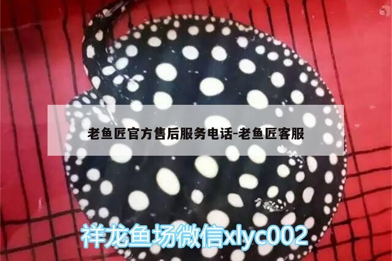 魚缸 老魚匠官方售后服務電話:老魚匠客服 老魚匠 老魚匠官方售后服務電話:老魚匠客服 老魚匠官方售后服務電話:老魚匠客服 老魚匠