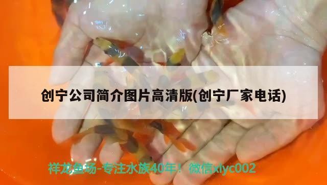 創寧公司簡介圖片高清版(創寧廠家電話)