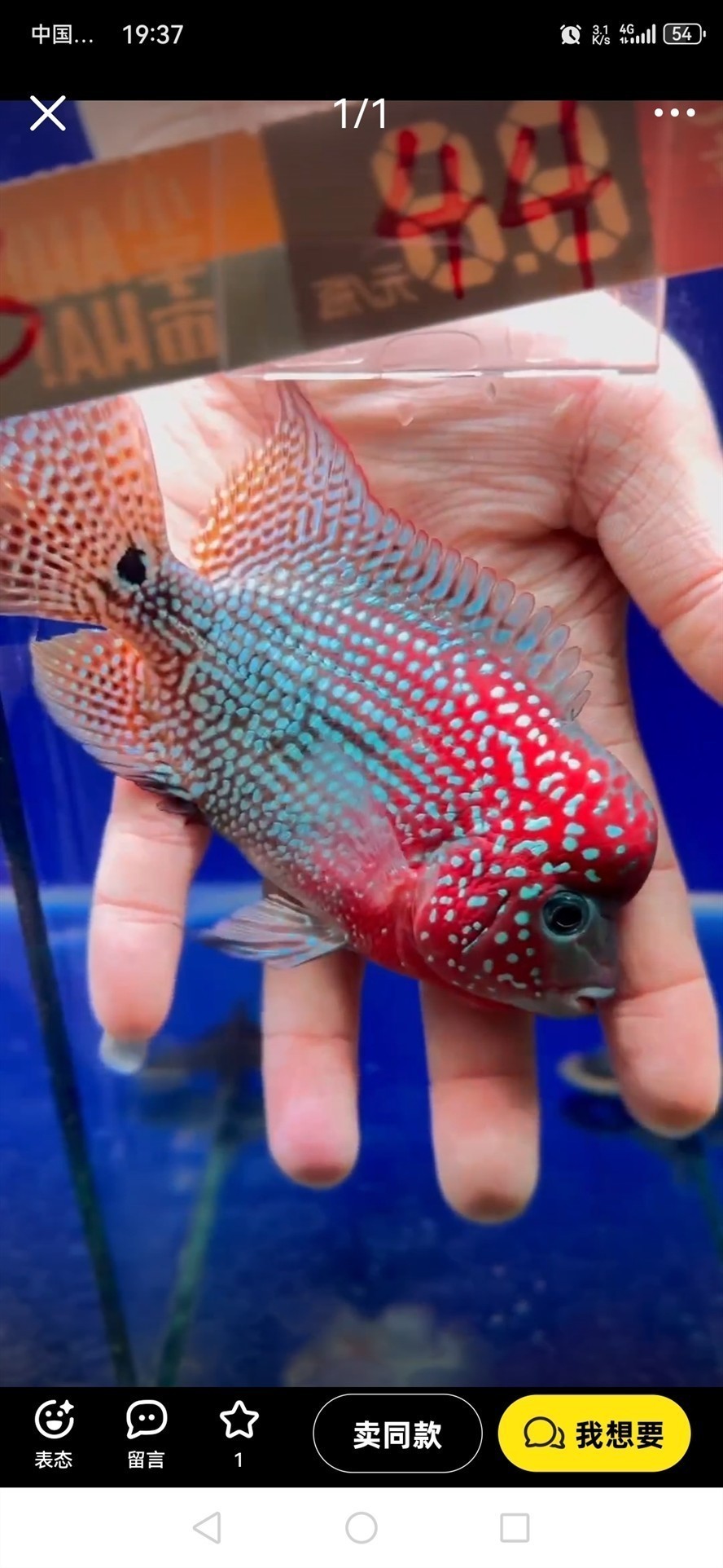 請大神指點這個魚值得買么？