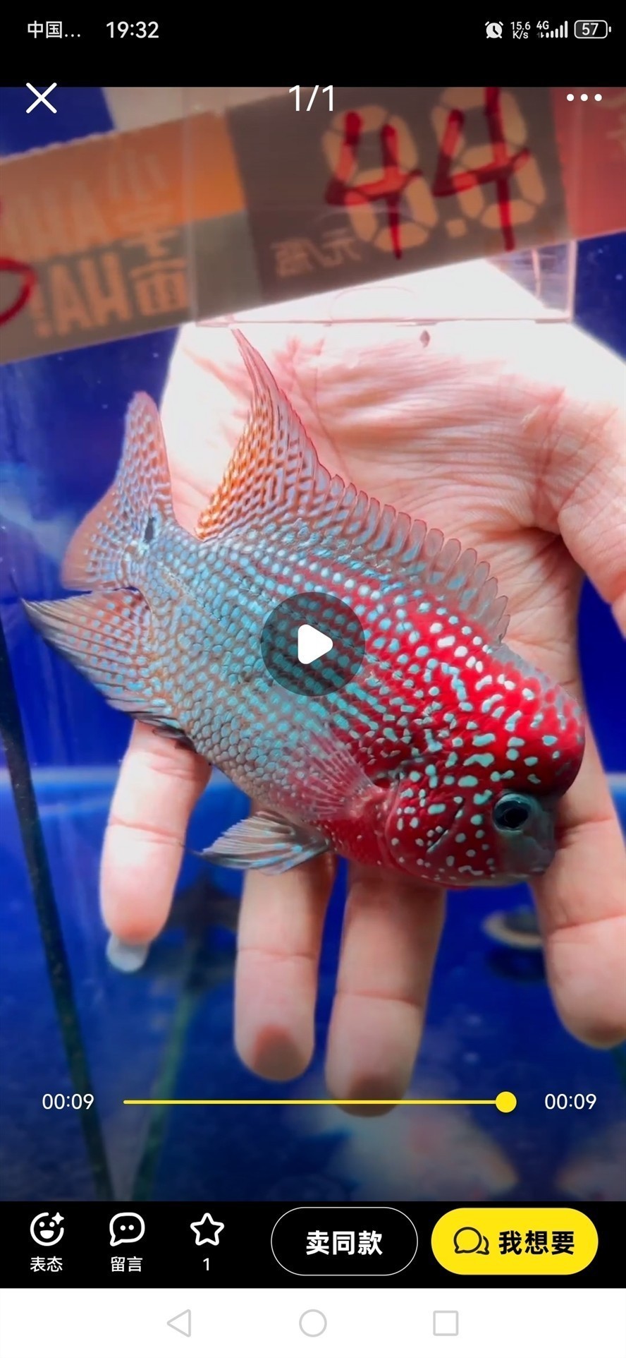 請大神指點這個魚值得買么？