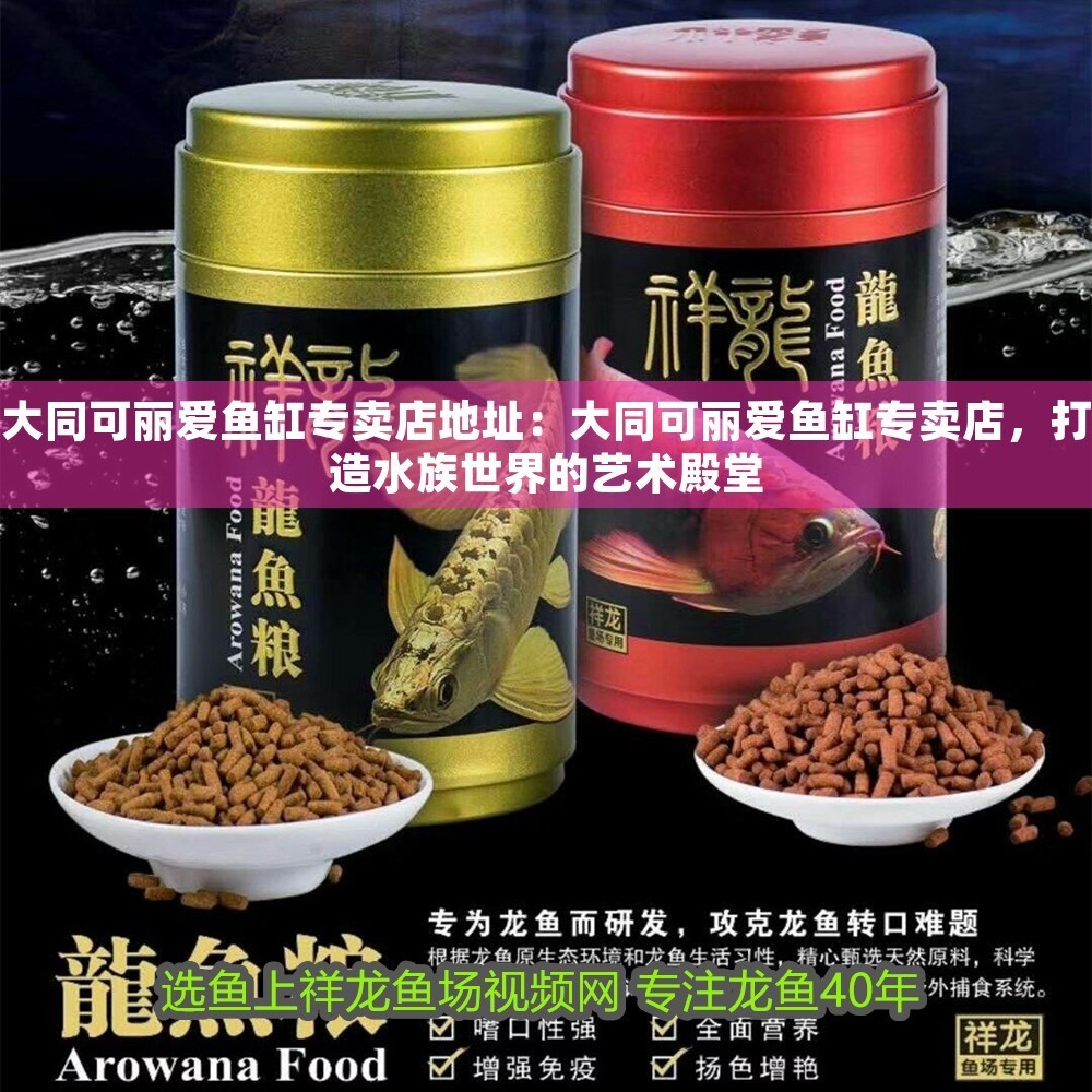 大同可麗愛魚缸專賣店地址：大同可麗愛魚缸專賣店，打造水族世界的藝術(shù)殿堂