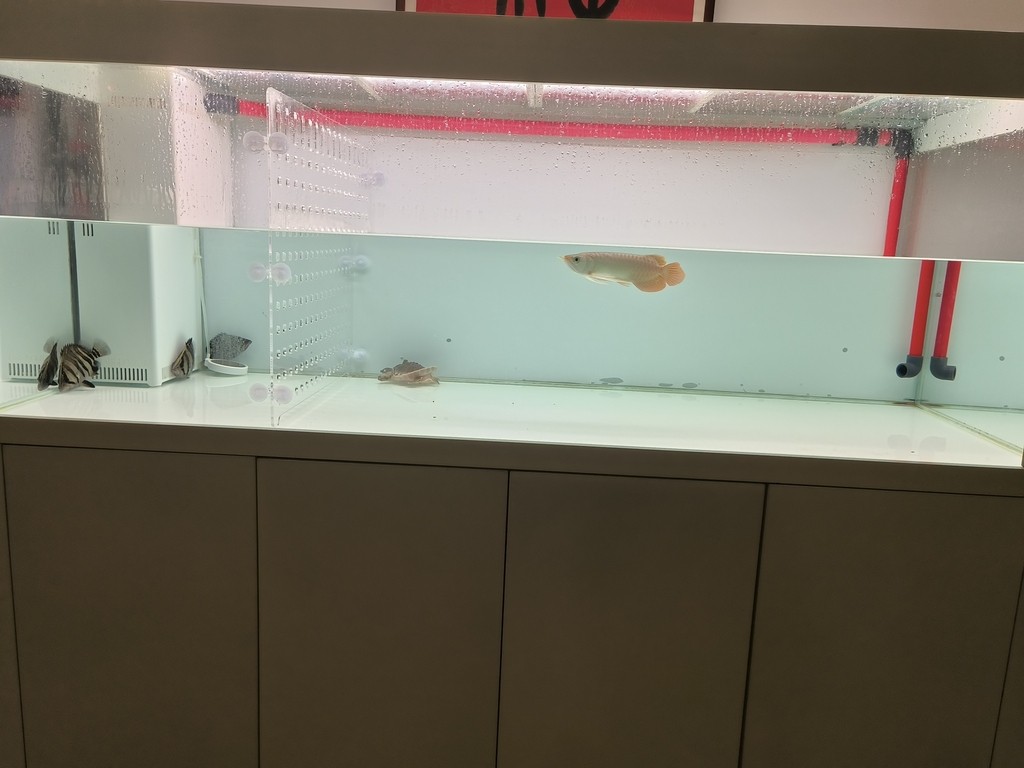 飛利浦燈管840，柔和了很多