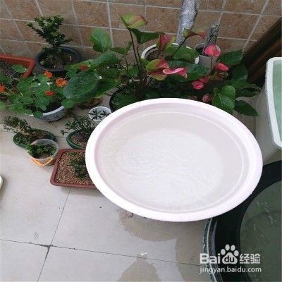 水族館投資需要多少錢呢(投資水族館賺錢嗎)