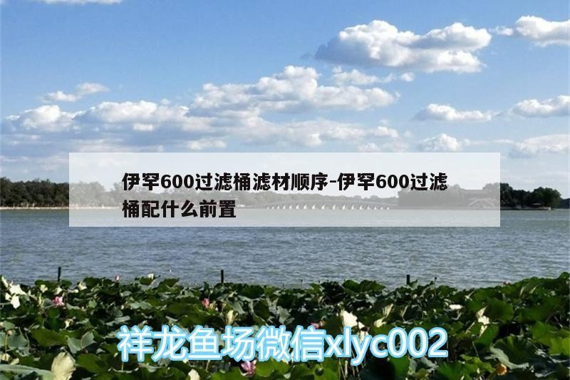 伊罕600過(guò)濾桶濾材順序:伊罕600過(guò)濾桶配什么前置