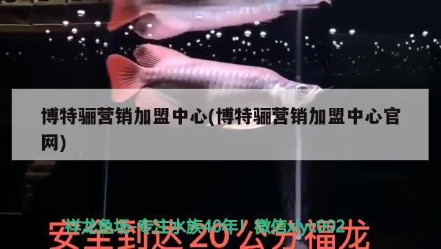 博特驪營銷加盟中心(博特驪營銷加盟中心官網)