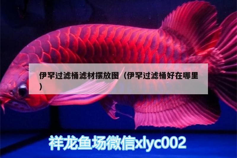 伊罕過濾桶濾材擺放圖（伊罕過濾桶好在哪里）