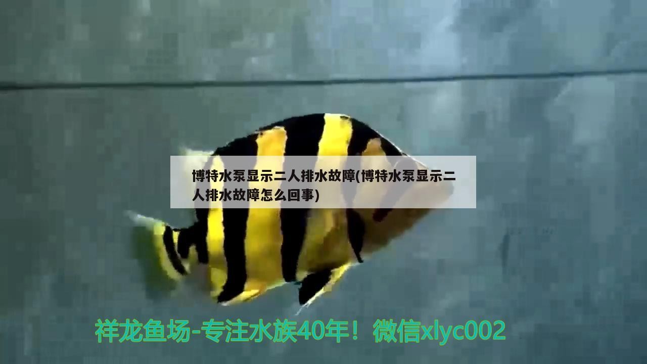 博特水泵顯示二人排水故障(博特水泵顯示二人排水故障怎么回事) 博特水泵顯示二人排水故障(博特水泵顯示二人排水故障怎么回事) 博特水族