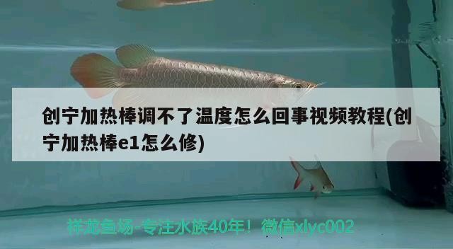 創(chuàng)寧加熱棒調(diào)不了溫度怎么回事視頻教程(創(chuàng)寧加熱棒e1怎么修) 創(chuàng)寧加熱棒調(diào)不了溫度怎么回事視頻教程(創(chuàng)寧加熱棒e1怎么修) 創(chuàng)寧水族