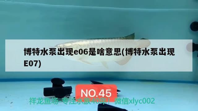 博特水泵出現e06是啥意思(博特水泵出現E07) 博特水泵出現e06是啥意思(博特水泵出現E07) 博特水族