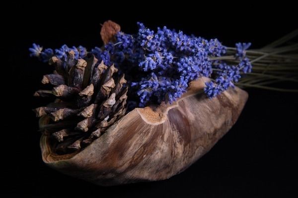 龍魚趴缸最佳恢復(fù)方法vs祥龍魚場：祥龍魚場口碑評價龍魚趴缸急救措施祥龍魚場口碑評價