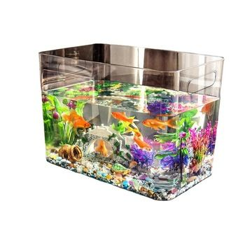 50x30x40魚缸養什么魚：如何選擇適合在50x30x40的魚缸中飼養的魚類