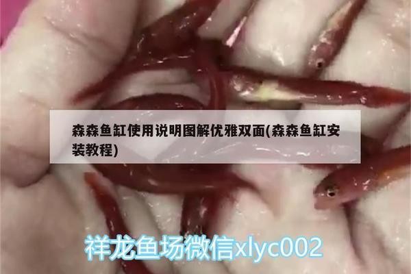虎魚天天黑來點赤瞳黃金 創寧水泵廠家在哪里啊電話多少(創寧水泵廠家在哪里啊電話多少號) 創寧水族 創寧水泵廠家在哪里啊電話多少(創寧水泵廠家在哪里啊電話多少號) 創寧水泵廠家在哪里啊電話多少(創寧水泵廠家在哪里啊電話多少號) 創寧水族