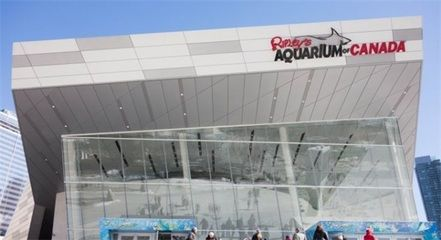 廣州水族館vs祥龍魚場（廣州水族館與祥龍魚場有什么區(qū)別？）
