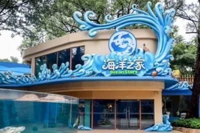 廣州水族館vs祥龍魚場（廣州水族館與祥龍魚場有什么區(qū)別？）