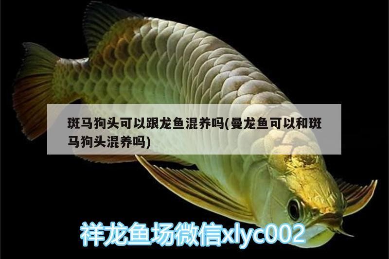 老魚匠殺菌燈說明書圖片大全（老魚匠造浪泵使用說明書） 老魚匠殺菌燈說明書圖片大全（老魚匠造浪泵使用說明書） 老魚匠 第1張