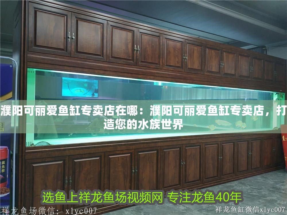 濮陽可麗愛魚缸專賣店在哪：濮陽可麗愛魚缸專賣店，打造您的水族世界