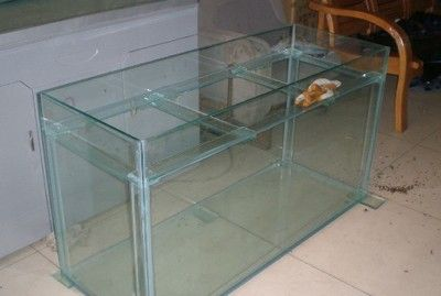 60的魚缸6毫米玻璃用拉筋嗎視頻教學：60厘米寬魚缸6毫米玻璃是否需要安裝拉筋