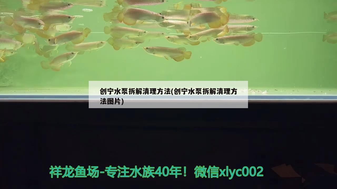 創寧水泵拆解清理方法(創寧水泵拆解清理方法圖片)