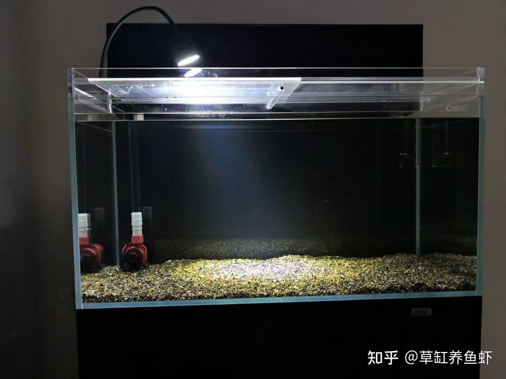 60厘米的魚(yú)缸多少錢(qián)一盆：60厘米的魚(yú)缸價(jià)格是多少？