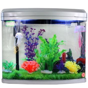 60厘米的魚(yú)缸多少錢(qián)一盆：60厘米的魚(yú)缸價(jià)格是多少？