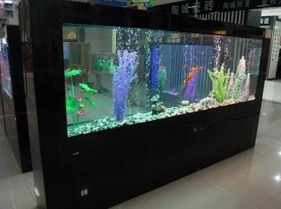 2米長的魚缸多寬合適養魚：2米長的魚缸養多大合適