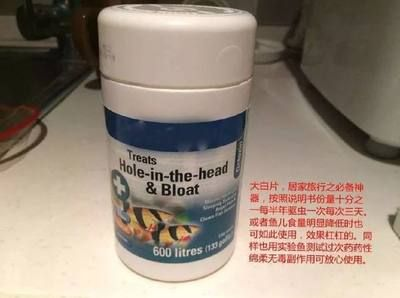 魟魚可不可以下大白片外寄：魟魚可以下大白片外寄嗎？