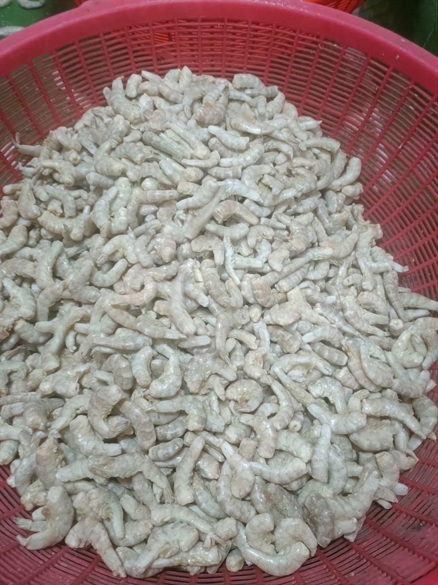 龍魚寄養(yǎng)要多少錢一斤,(龍魚寄養(yǎng)要多少錢一斤) 觀賞魚百科 第1張 龍魚寄養(yǎng)要多少錢一斤,(龍魚寄養(yǎng)要多少錢一斤) 龍魚寄養(yǎng)要多少錢一斤,(龍魚寄養(yǎng)要多少錢一斤) 觀賞魚百科 第1張