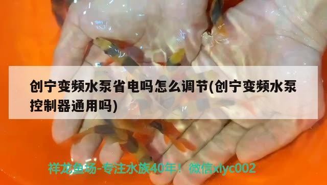創(chuàng)寧變頻水泵省電嗎怎么調節(jié)(創(chuàng)寧變頻水泵控制器通用嗎)