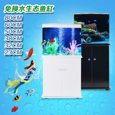 50厘米的超白魚缸多少錢一個：50厘米的超白玻璃魚缸價格是多少？