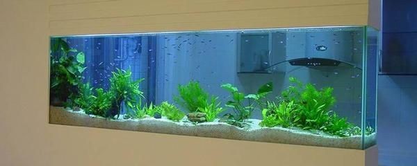 森森和博宇魚缸哪個好