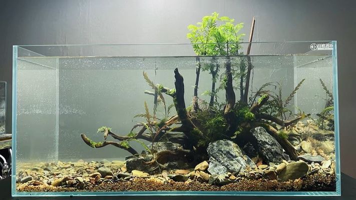 老魚(yú)匠造浪泵安裝位置（老魚(yú)匠造浪泵怎么安裝）