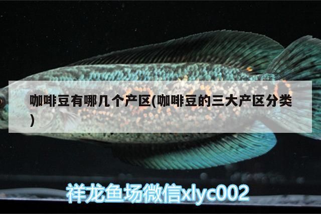 咖啡豆有哪幾個產區(咖啡豆的三大產區分類) 咖啡豆有哪幾個產區(咖啡豆的三大產區分類) 馬來西亞咖啡