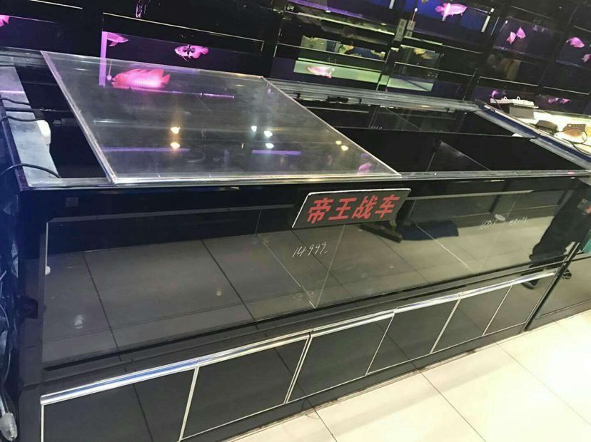 老店翻新 所有魚缸處理了