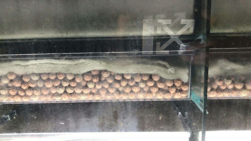 老店翻新 所有魚缸處理了