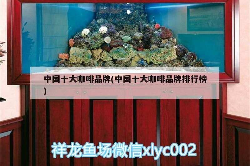 印尼虎魚多少溫度飼養最好:印尼虎魚多少溫度飼養最好印尼虎魚多少溫度飼養最好 中國十大咖啡品牌(中國十大咖啡品牌排行榜) 馬來西亞咖啡 中國十大咖啡品牌(中國十大咖啡品牌排行榜) 中國十大咖啡品牌(中國十大咖啡品牌排行榜) 馬來西亞咖啡
