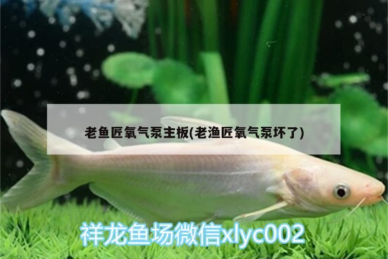 老魚匠氧氣泵主板(老漁匠氧氣泵壞了)