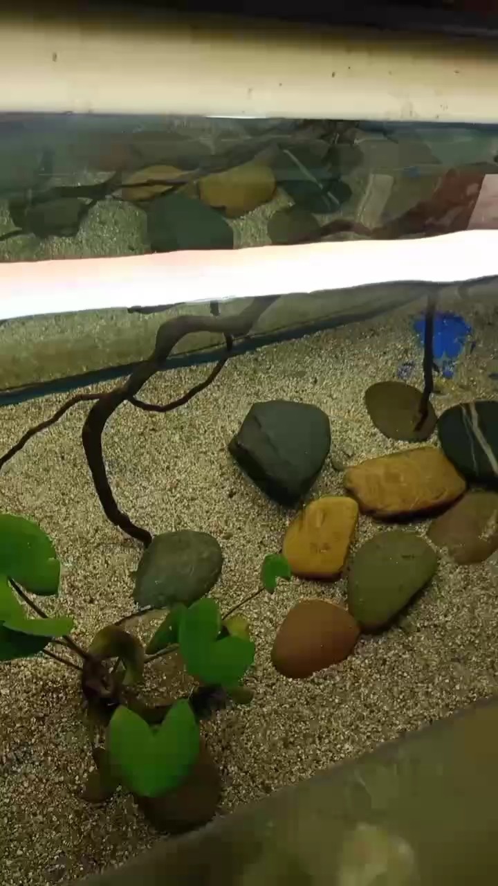 拍照打卡