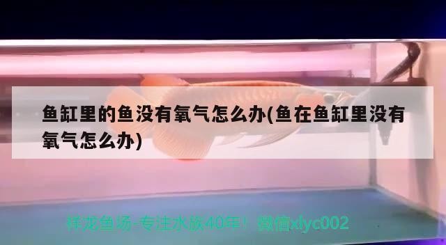 創寧水泵聲音大（創寧水泵聲音大怎么解決）