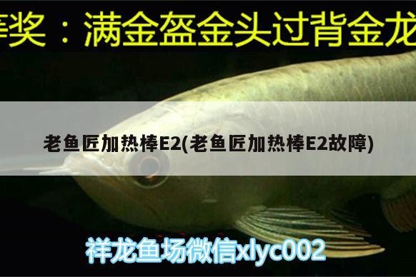 老魚匠加熱棒E2(老魚匠加熱棒E2故障)
