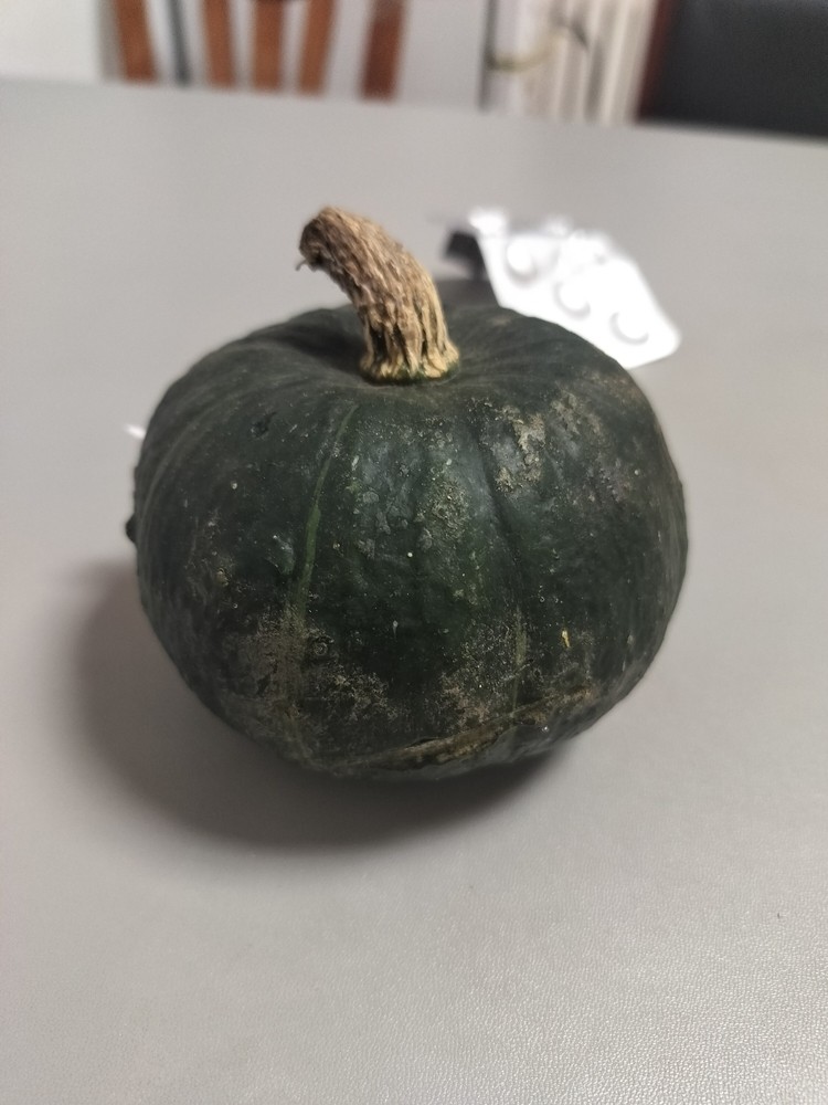 一個(gè)南瓜的故事